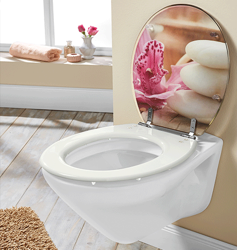 toilet seat2