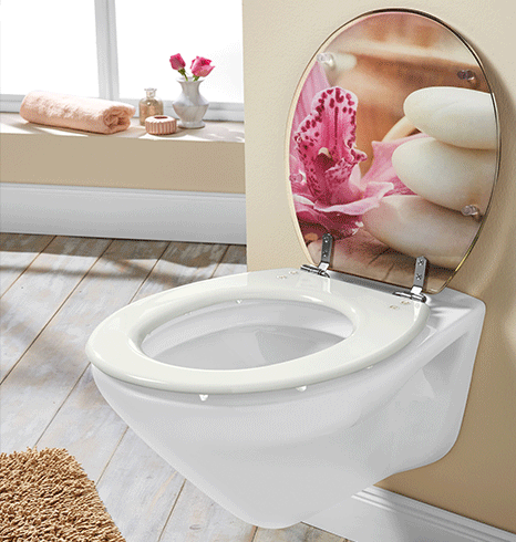 toilet seat